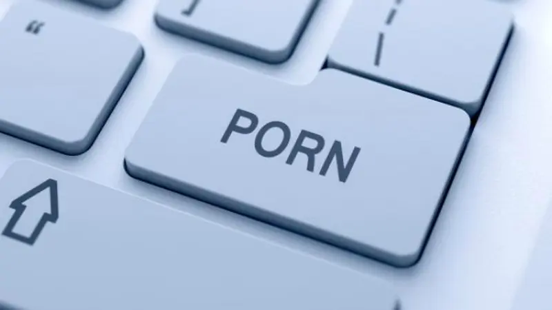 Merambah Situs Pornografi Demi Menjaga Konstitusi? *OTW