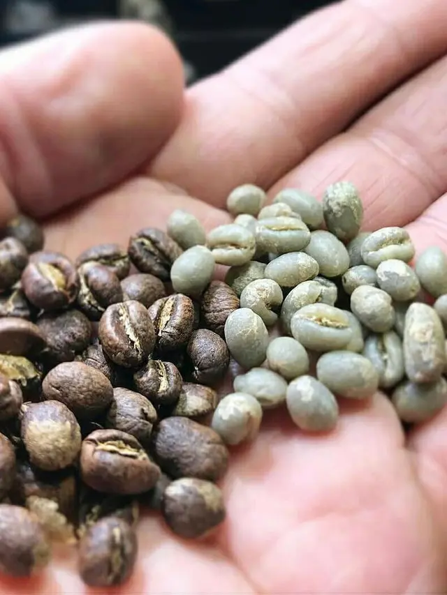 Kopi lanang