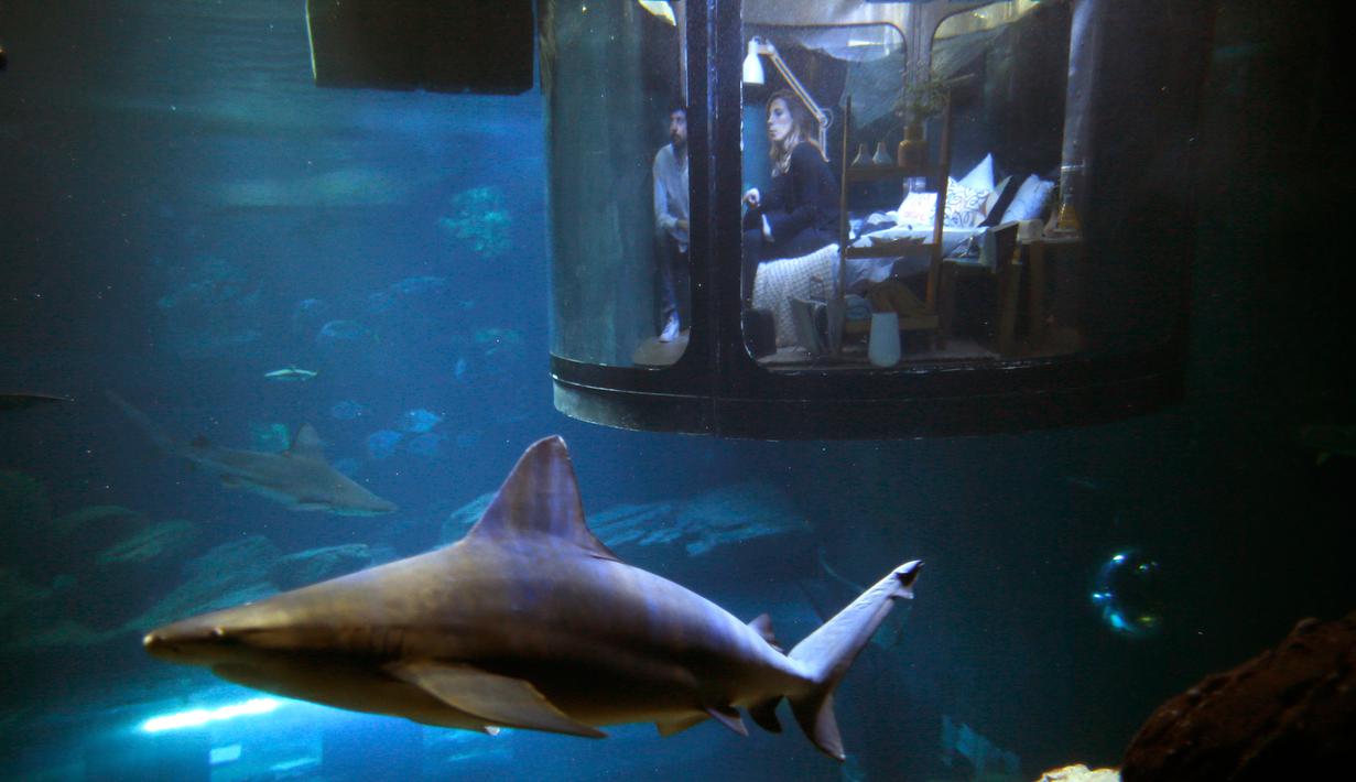 Wisatawan melihat ikan hiu di dalam kamar saat menginap di hotel bawah air Aquarium of Paris, Prancis, 14 Maret 2016. Hotel yang dibuat oleh Airbnb dan Aquarium of Paris tersebut menawarkan sensasi menginap yang menegangkan. (REUTERS/Charles Platiau)