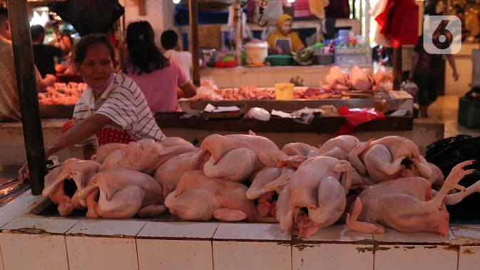 Mendag: Program MBG Bantu Jaga Harga Daging Ayam