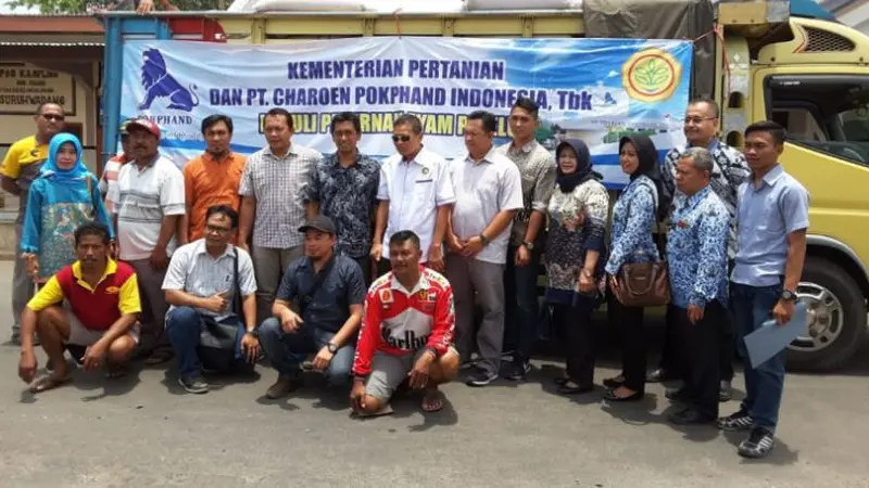 Kementerian Pertanian menggandeng PT Charoen Pokphand Indonesia dalam menjalankan program jagung untuk peternak ayam petelur. (Dian Kurniawan/Liputan6.com)