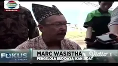 Sidat merupakan salah satu potensi maritim yang potensial untuk dikembangkan. Sidat ini merupakan jenis ikan yang memiliki nilai ekonomis tinggi yang bisa memberikan kesejahteraan bagi warga.