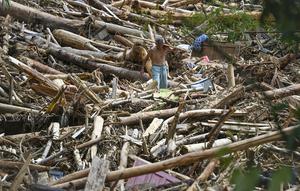 Seorang warga desa terdampak banjir bandang berjalan di antara tumpukan kayu di Desa Tukka, Tapanuli Tengah, Sumatera Utara, pada 2 Desember 2025. Banjir bandang dan tanah longsor yang melanda Kabupaten Tapanuli Tengah sejak 25 November 2025 telah menelan korban. Ada dua desa yang paling parah terdampak, yakni Desa Tukka dan Desa Tanah Bolon. (YT HARIONO/AFP)