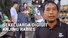 Sebanyak tujuh warga yang merupakan satu keluarga di Kabupaten Bangli, Bali, digigit anjing yang ternyata positif terjangkit rabies. Seluruh korban saat ini masih dirawat di puskesmas.