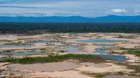 Pandangan udara kawasan Hutan Amazon yang terdeforestasi (penurunan luas area hutan secara kualitas dan kuantitas) di wilayah Sungai Madre de Dios, Peru, Jumat (17/5/2019). Pemerintah Peru meluncurkan Operasi Merkuri untuk mengusir penambang ilegal yang merusak Hutan Amazon. (CRIS BOURONCLE/AFP)