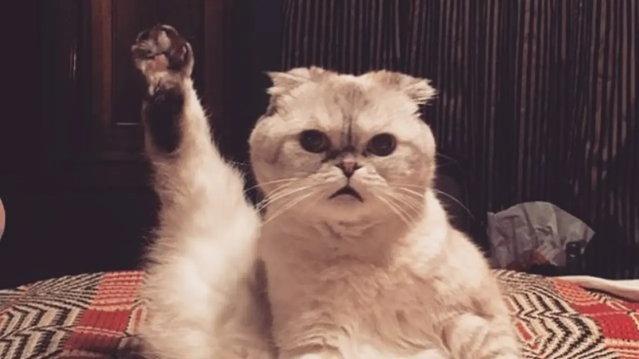 [Bintang] Taylor Swift