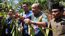 Komisaris Independen BCA Cyrillus Harinowo (kedua kanan) dan Kepala Pendukung Operasi Wilayah II BCA Tjia Irawan (kedua kiri) memetik biji kopi di desa binaan Bakti BCA Dusun Kopi Sirap di Semarang, Jawa Tengah, Minggu (8/9/2019). (Liputan6.com/HO/Defi)