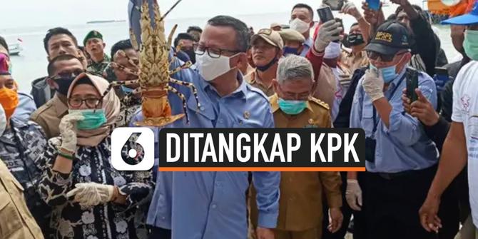 VIDEO: Menteri Edhy Ditangkap, Jokowi Yakin KPK Bekerja Profesional