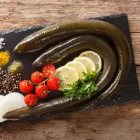 ilustrasi belut/copyright By AS Food studio from Shutterstock
