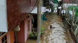 Anak-anak gang H. Maliki, Cawang memanfaatkan banjir untuk berenang, Jakarta, Senin (16/11). Pasca datangnya air kiriman dari Bogor, puluhan rumah di pinggir kali Ciliwung terendam banjir dengan ketinggian mencapai 3 meter. (Liputan6.com/Yoppy Renato)