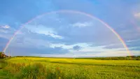 30 Quotes About Rainbows That Will Make Your Day More Colorful
