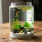6 Ide Aquarium dari Toples Kaca yang Unik dan Dekoratif