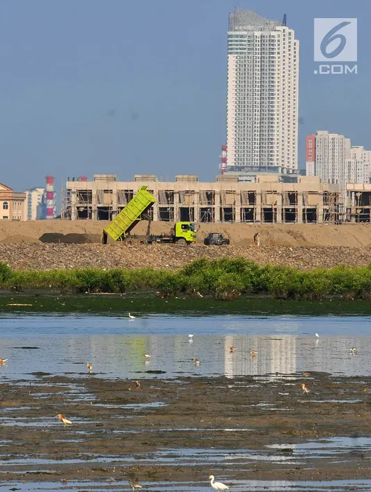 Aktivitas pekerja proyek reklamasi terlihat dari pesisir Kamal Muara, Jakarta, Kamis (15/3). Fenomena turunnya permukaan air di daerah ini lebih terlihat jelas ketika laut tidak pasang. (Merdeka.com/Iqbal S Nugroho)