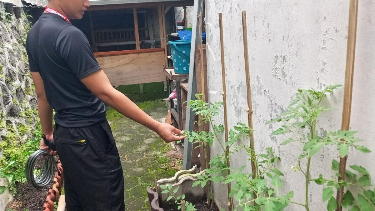 Terapkan Integrated Farming, Rumah di Jogja Wujudkan Ketahanan Pangan yang Tekan 70% Pengeluaran