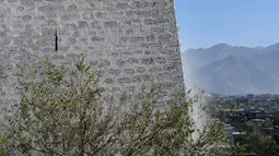 Seorang pekerja mengecat tembok Istana Potala dalam rangka renovasi tahunan kompleks arsitektur kuno tersebut di Lhasa, ibu kota Daerah Otonom Tibet, China barat daya, pada 28 Oktober 2020. (Xinhua/Jigme Dorji)