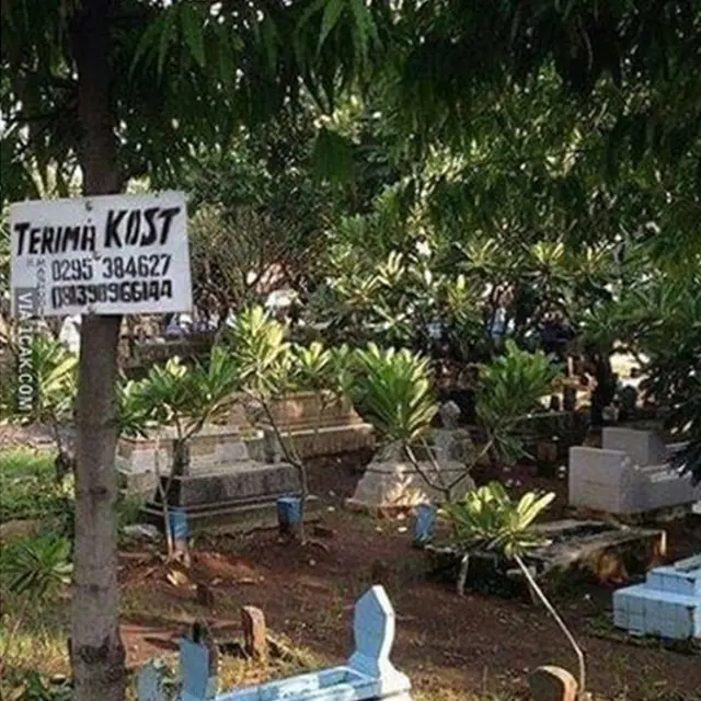 6 Tulisan Terima Kos Ditempel di Tempat Nyeleneh Ini Bikin Tepuk Jidat