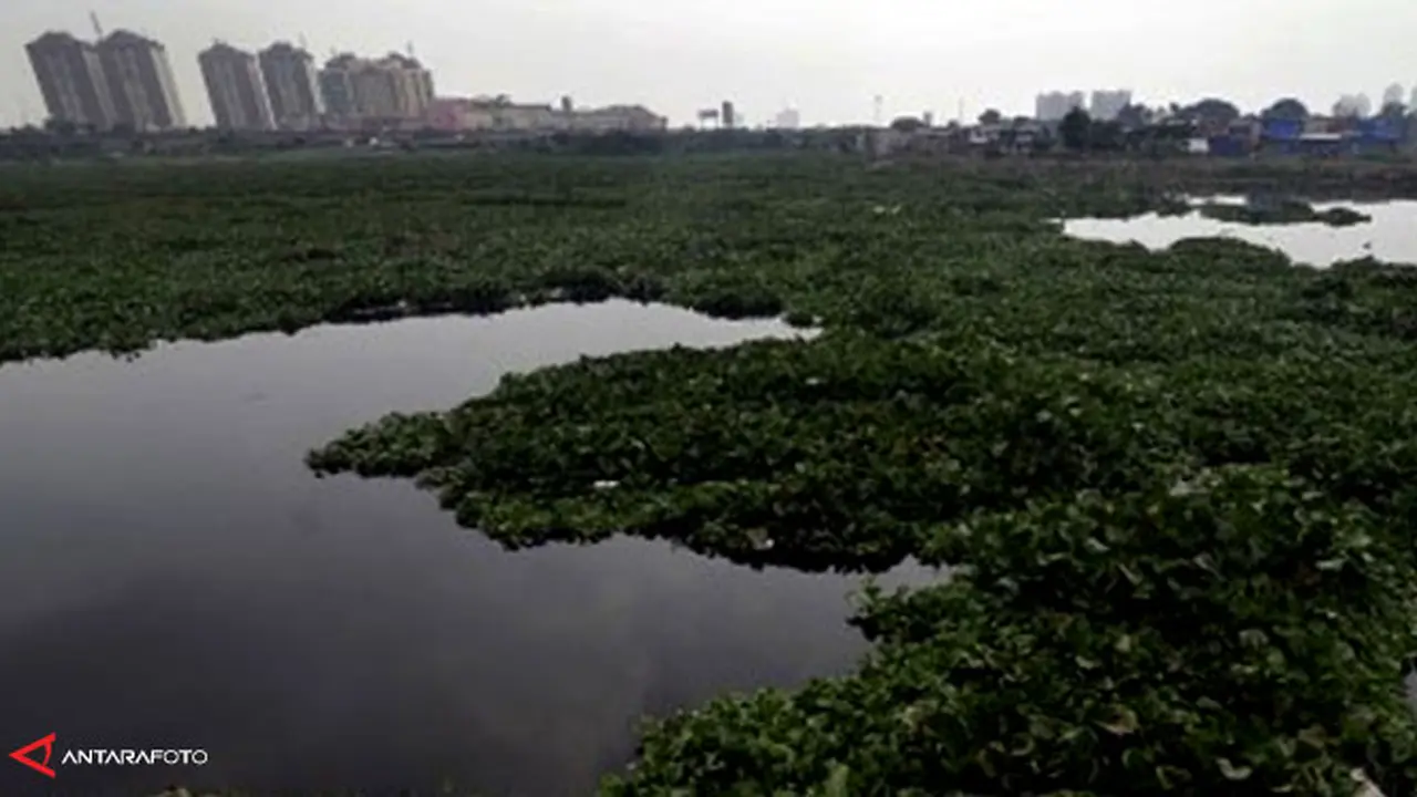 waduk-riario-130820c.jpg
