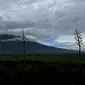 Gunung Kerinci merupakan gunung tertinggi berapi di Indonesia. Gunung Kerinci memiliki ketinggian 3805 Mdpl dan terletak di perbatasan Provinsi Jambi dengan Sumatera Barat. Foto diambil pada 14 Mei 2015. (Liputan6.com/Helmi Fithriansyah)