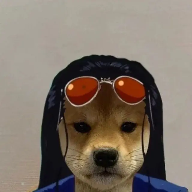 6 Editan Foto Anjing Jadi Kru Mugiwara One Piece Ini Kocak
