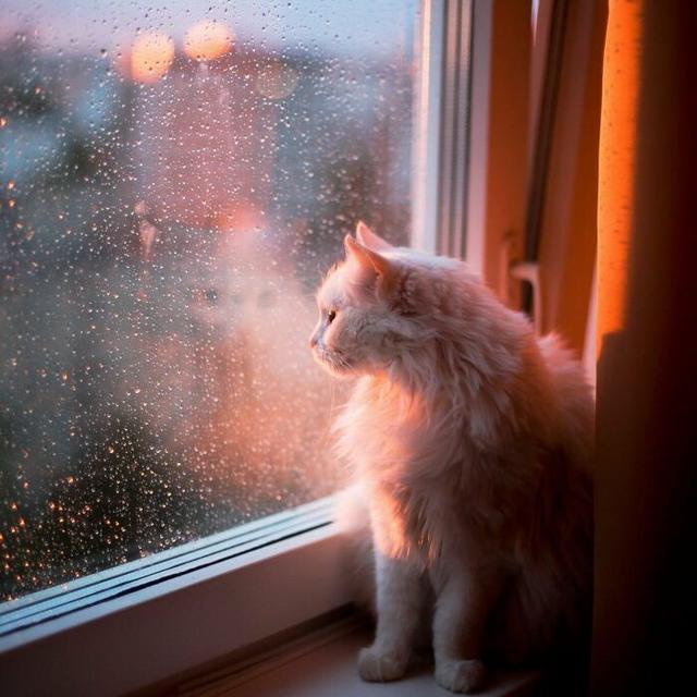 6 Jepretan Detail Rintik Hujan Ini Unik, Tetesan Air Manjakan Mata