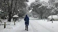 Ilustrasi musim dingin di Australia. (Sumber Instagram/@designdetail)
