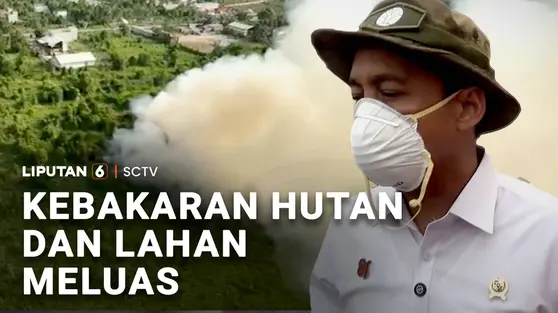 Kebakaran Hutan dan Lahan Meluas