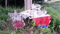 Petunjuk kecelakaan MH17 (Twitter)