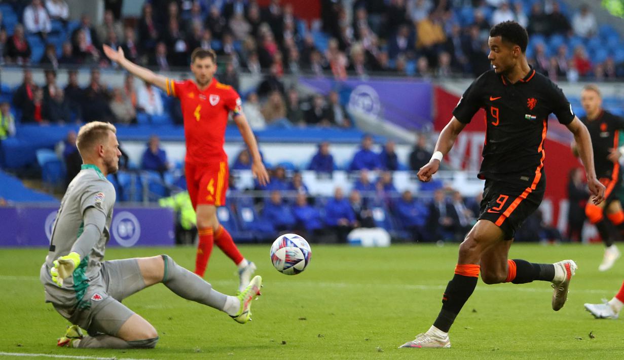 Cody Gakpo tengah tampil memukau bersama PSV Eindhovnen. Ia tercatat telah membuat 9 gol dan 12 assist dalam 14 penampilannya di Liga Belanda. Hal tersebut yang membuat Louis van Gaal memanggilnya ke dalam skuat Belanda untuk Piala Dunia 2022. (AFP/Geoff Caddick)