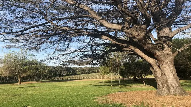 Kebun Anggur di Margaret River