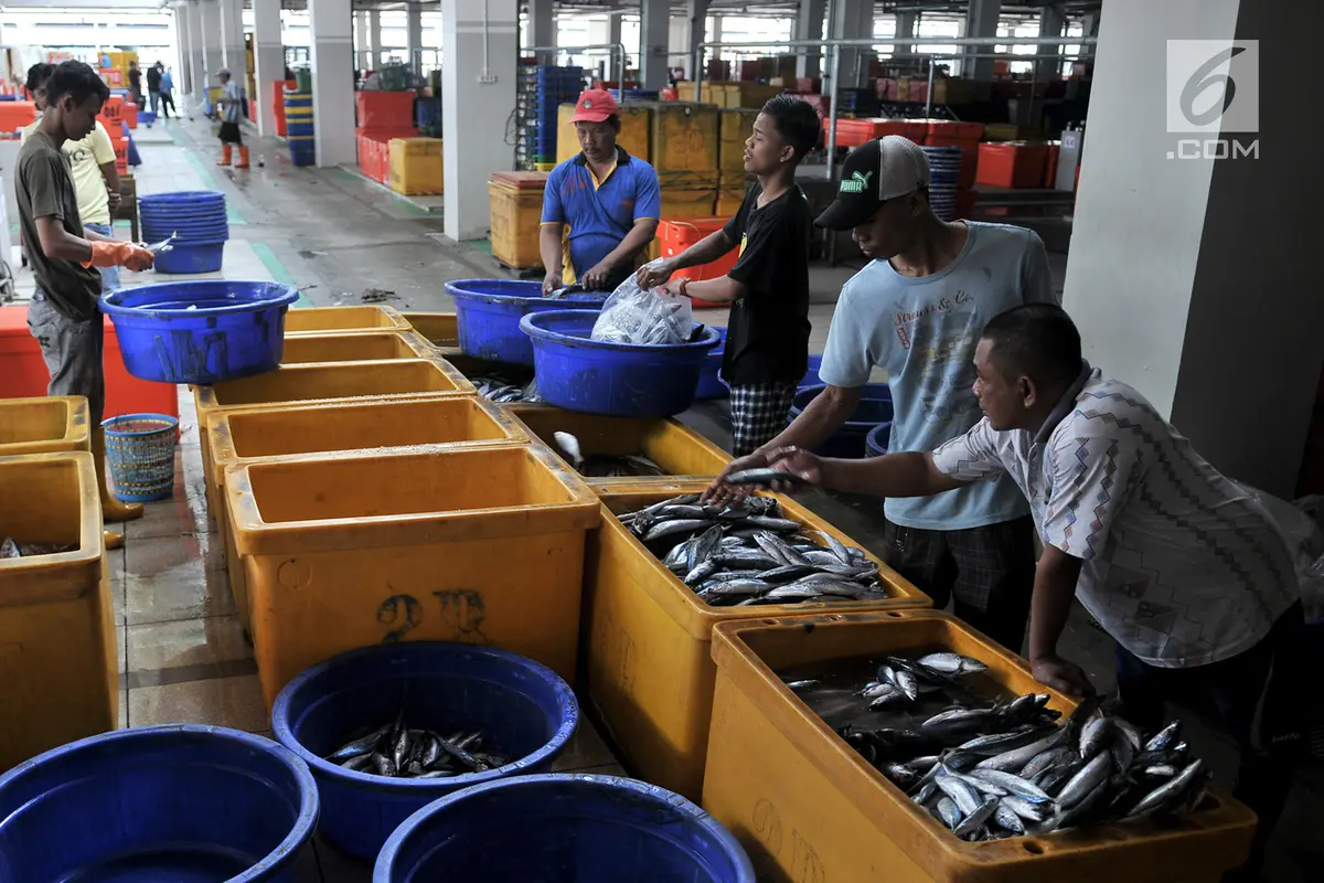 Pasar Ikan Modern Muara Baru Mulai Ditempati Pedagang