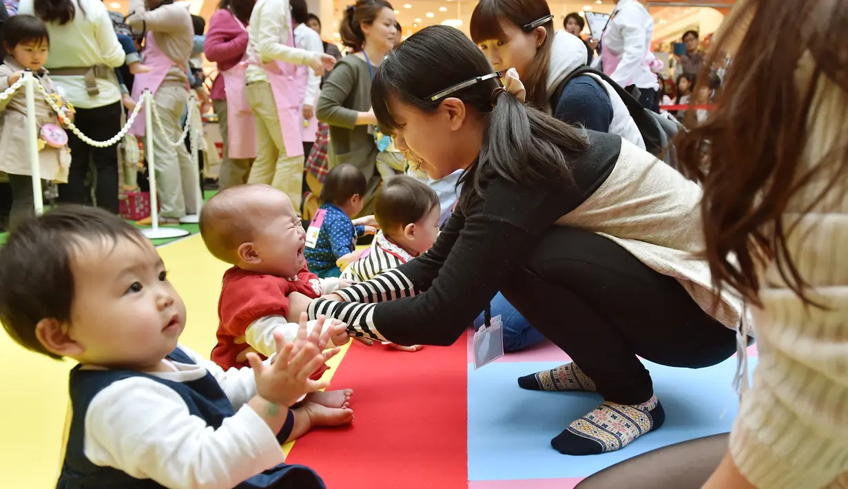 Para bayi dipersiapkan ibu mereka di garis star untuk berkompetisi dalam acara 'Bayi Merangkak',  Yokohama, Jepang, Senin (23/11/2015). Tingkah bayi yang lucu menjadi pemandangan yang menggemaskan bagi para penonton. (AFP Photo/Kazuhiro Nogi)