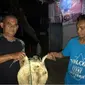 Seorang nelayan menyerahkan penyu kepada pihak BKSDA Wilayah II Gorontalo (Arfandi/Liputan6.com)