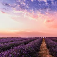 Ilustrasi Cuaca Credit: pexels.com/David