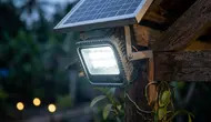 20 Rekomendasi Lampu Solar untuk Kebun Sayur dan Tanapan Pekarangan Best Seller