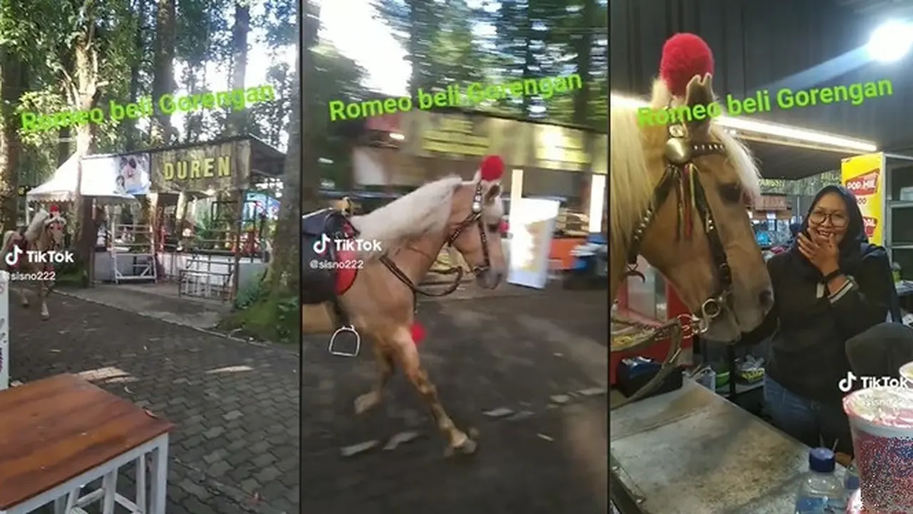 Aksi Kocak Kuda 'Romeo' Berlari Sendiri Jajan Gorengan, Bikin Penjualnya Ketawa