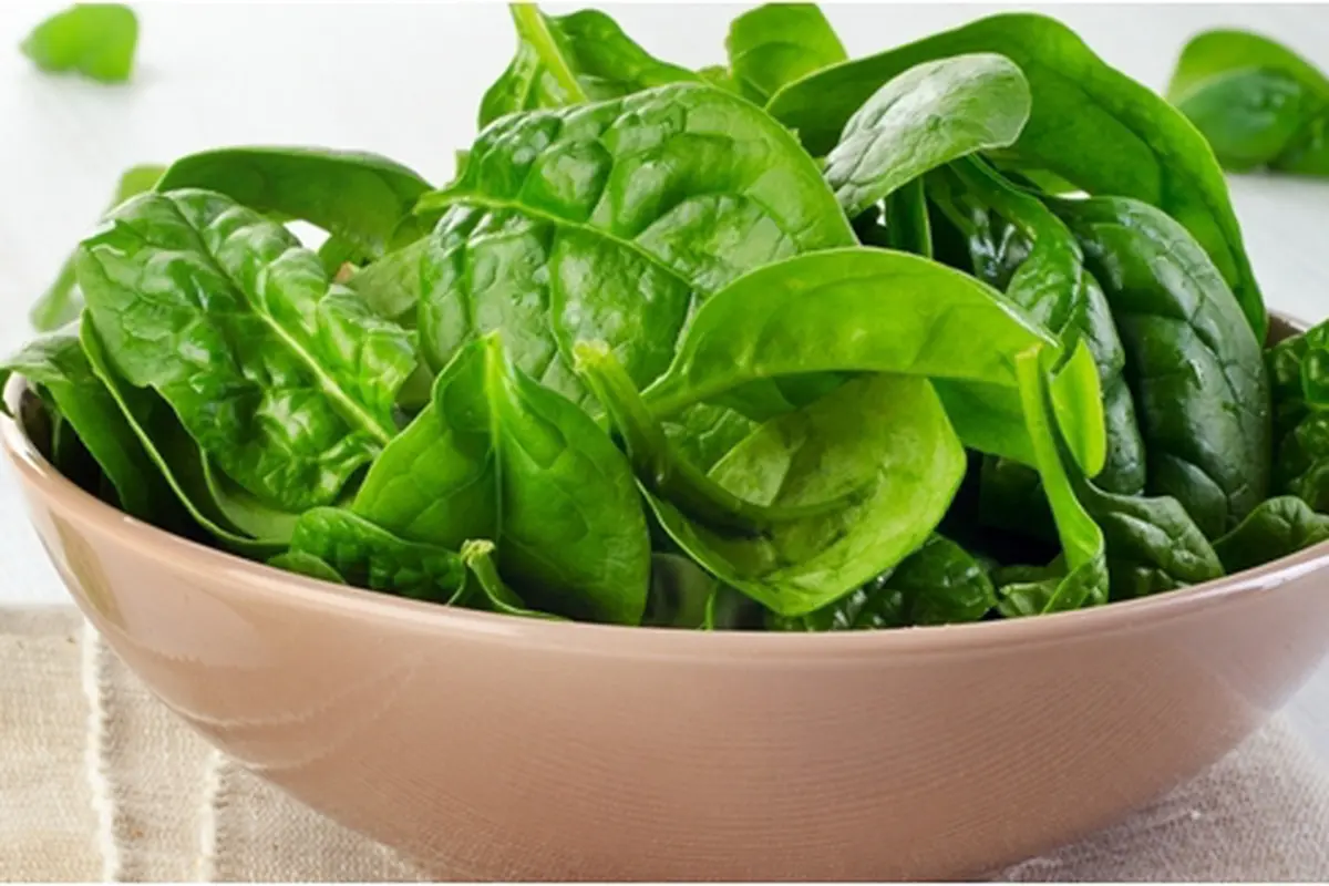 Foto : copyright shutterstock.com