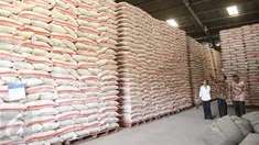 Presiden Jokowi bersama Menteri BUMN Rini Soemarno dan Dirut Bulog Djarot Kusumayakti meninjau stok beras di Gudang Bulog, Jakarta, Jumat (2/10). Jokowi melepas secara simbolis 1.034 ton beras untuk 5 kota besar di Indonesia. (Liputan6.com/Faizal Fanani)