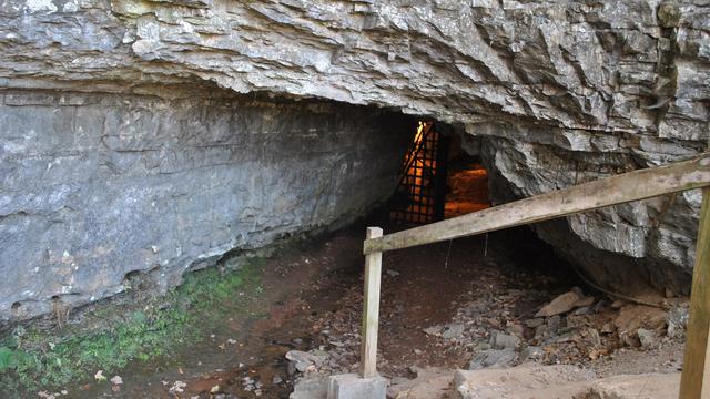 Bell Witch Cave, Adams