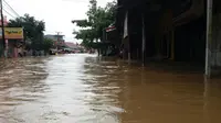 Banjir di Sulawesi Selatan. (Liputan6.com/Eka Hakim)