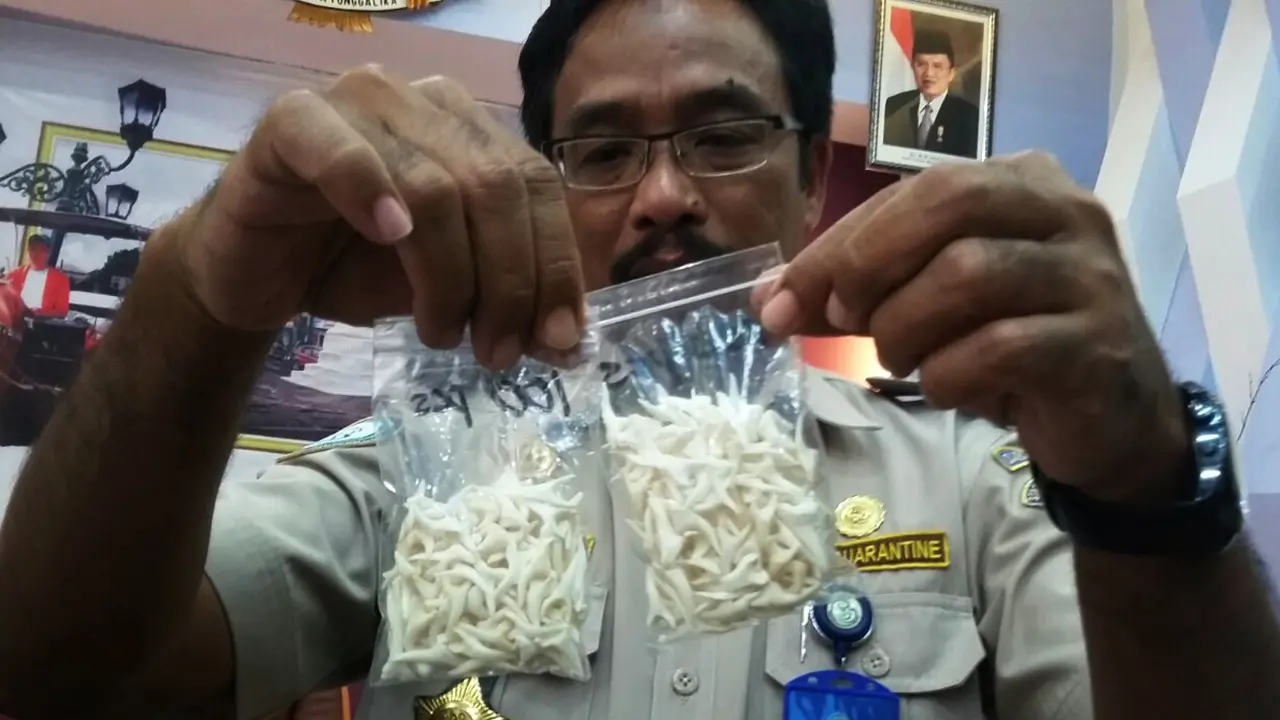 Penyelundupan gigi hiu
