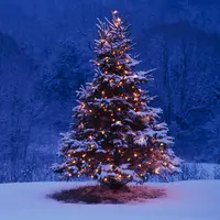 Ini dia potret keindahan jelang Natal di berbagai belahan dunia.