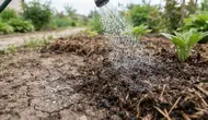 5 Cara Agar Tanah Kering Dapat Menyerap Air Hujan, Efektif Cegah Genangan dan Banjir