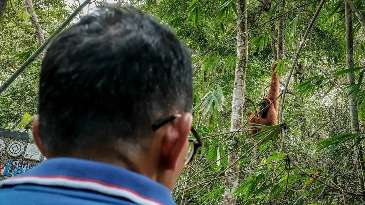 Kunjungan Sandiaga Uno ke Bukit Lawang, Kabupaten Langkat, Sumatra Utara.