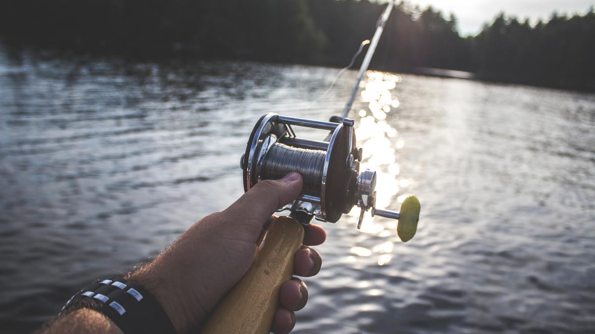 5 Arti Mimpi Mancing Ikan yang Membawa Kabar Baik dan Buruk - Lifestyle ...