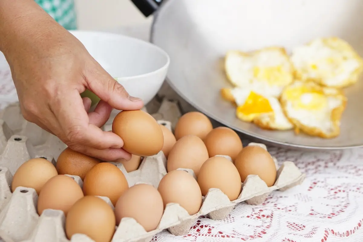 Berapa Lama Telur Bisa Disimpan? Begini Tipsnya agar Stok di Rumah Tetap Segar