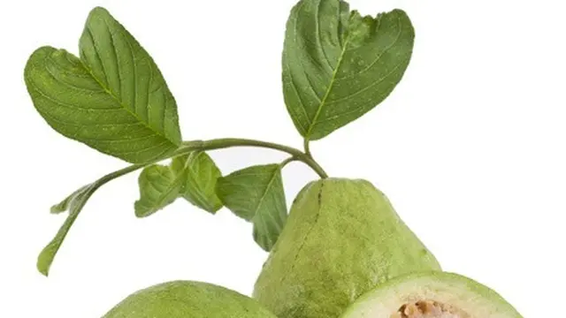 Manfaat Air Rebusan Daun Herbal, Pelajari Jenis Daun yang Efektif untuk Stabilkan Kolesterol dalam Tubuh