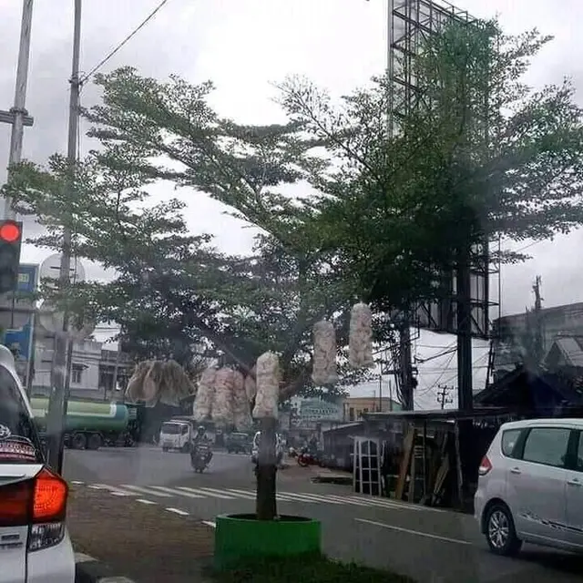 Potret Warung dengan Penataan Barang yang Unik, Bikin Geleng Kepala. (Sumber: Twitter/nocontextwarung)