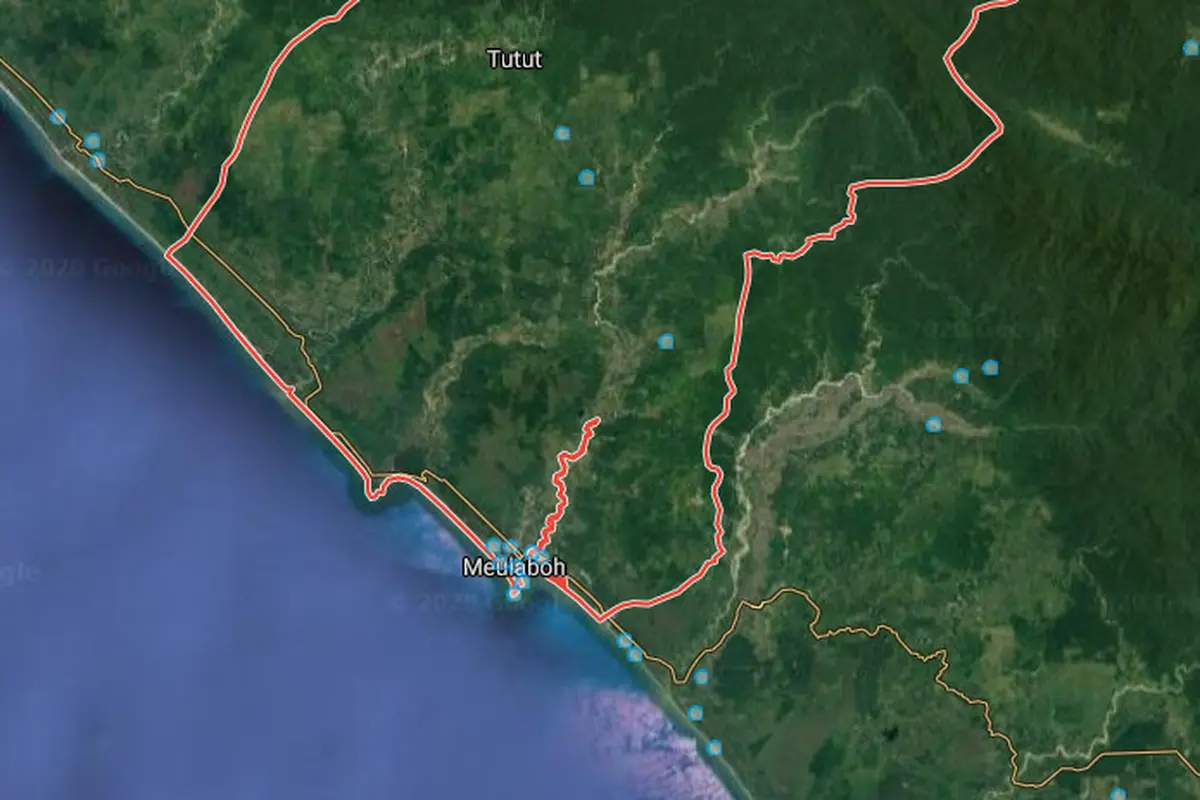 Hutan di Aceh Barat