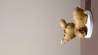 Jahe Emprit, Potensi Herbal Nusantara yang Kecil tapi Pedasnya Paling Kuat