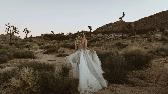 Baju Pengantin - Vania